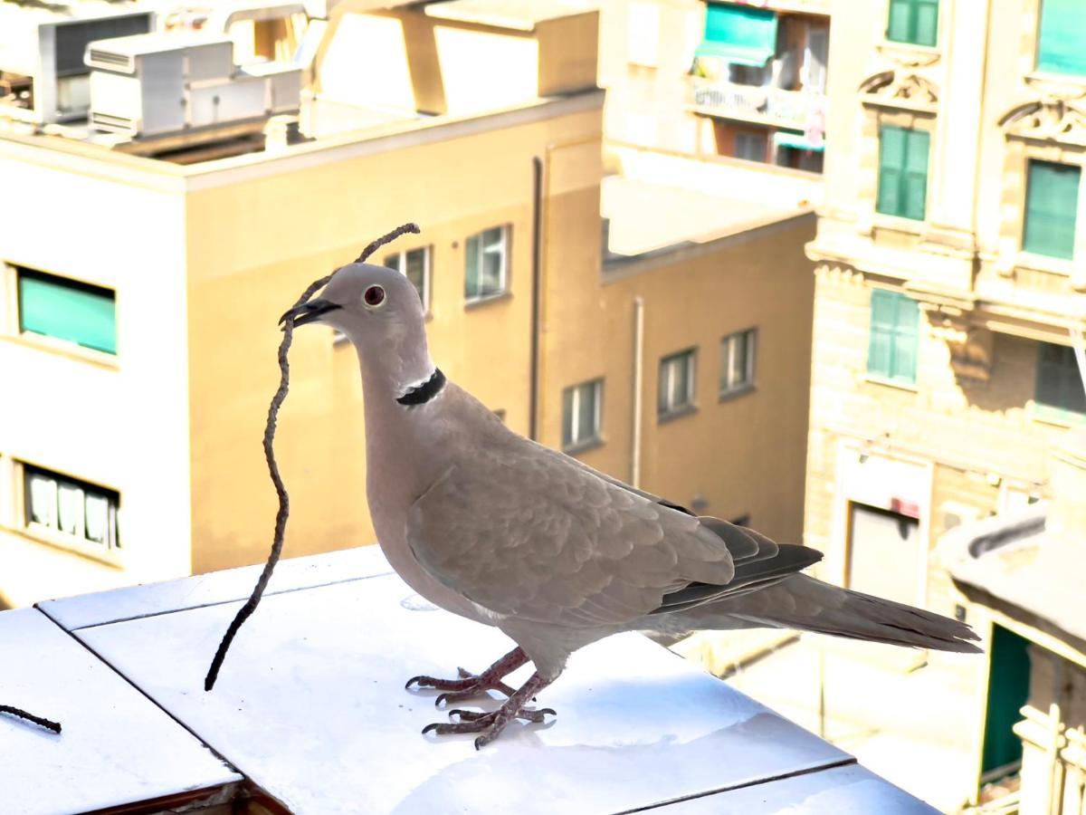 Home Sweet Home Nel Cuore Di Genova מראה חיצוני תמונה